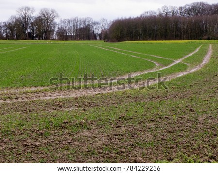 Tire tracks on a muddy wet field Royalty-Free Stock Photo #784229236
