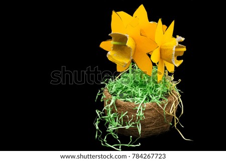 Studio photo of a homemade Daffodil  against a pure black background.