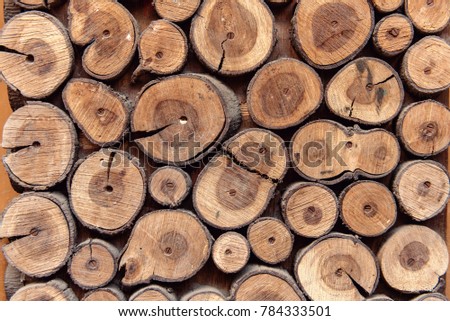 Sawed wood background. Decor of wall
