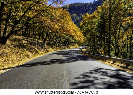 Country road in California lined with trees displaying fall color