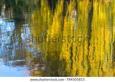 Beautifully Reflected Leaves in the Water Surface for 3D Texture