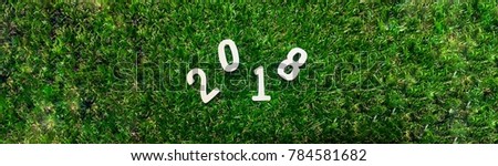 Image 2018 Happy New Year on green grass background with copy space for your text design. Blur picture and exposure.