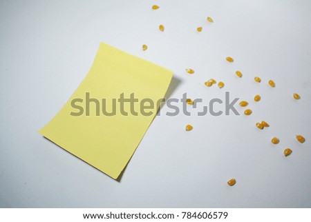 Photography of corn and blank paper object on the white background with 300 dpi format
