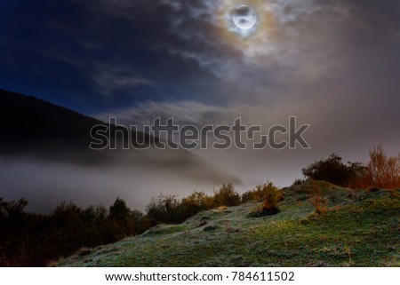 cold night fog in moon light in the mountains