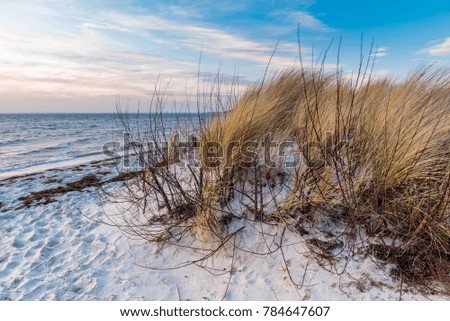 Sand dunes on the beach of Baltic Sea. Hel Peninsula. Poland.