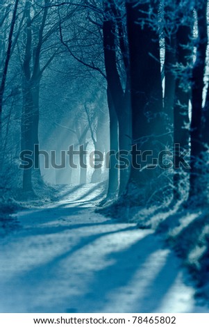 Early morning sunbeam in winter Royalty-Free Stock Photo #78465802