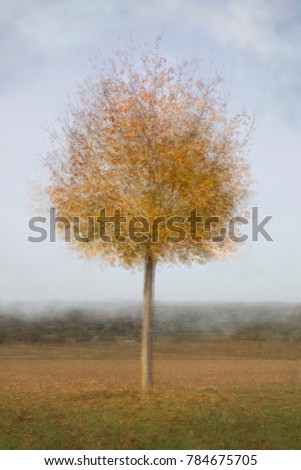 Autumn, fall tree in reds and yellows, impressionist artistic photo