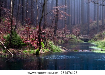 Lake in forest near Lelekovice, Czech Republic, Europe