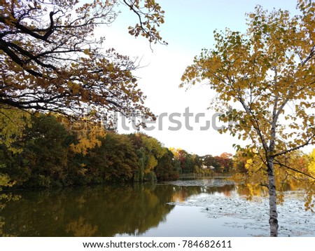 Lake lined with autumn trees and reflection