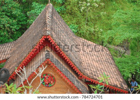 roof of a house and green leaves