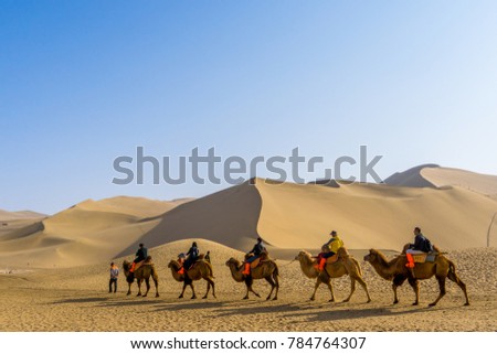 Camel caravan at Gobi desert. This is a famous place part of silk road in Dunhuang, Gansu, China. Royalty-Free Stock Photo #784764307