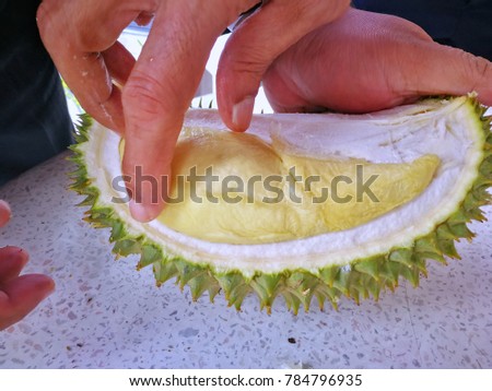 Take the fresh and delicious durian fruit to eat.