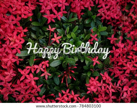Happy birthday with leaf background and flower framing