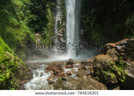 Primitive forest waterfall landscape