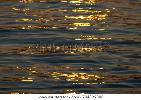 Gold-colored sunset reflected in the water