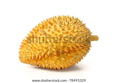 Ripe Durian on White background