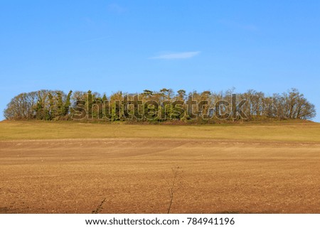 Trees on the horizon behind a ploughed field