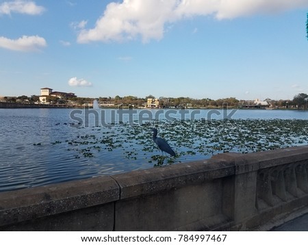 large crane or heron bird sitting on a cement wall by a lake