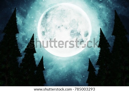 the full moon illuminates the tops of trees