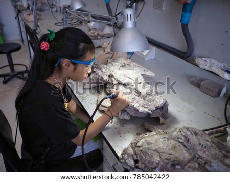 Dinosaur Bones Fossil in Thailand -Lab, -Triassic, 
Jurassic, Cretaceous - Many million years ago Royalty-Free Stock Photo #785042422