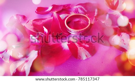 light pink roses in soft color and blur style for background

