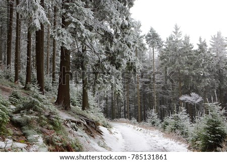 Snow route, winter
