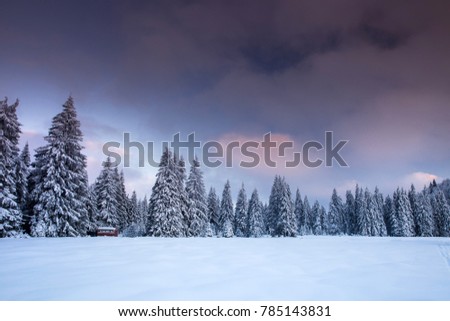 Fairy-tale winter in the mountains with cottage and snowy fir trees