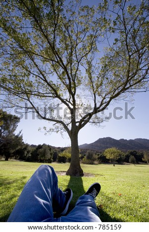 Man relaxing under a tree