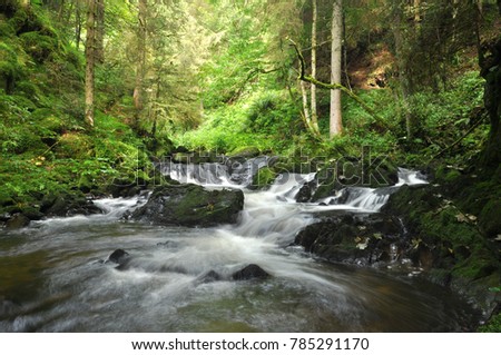 Beautiful streams with fast running water amongst forest. Taken within the forests of the Black Forest, Germany