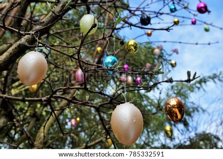 Easter colored eggs hanging on a tree in the garden.