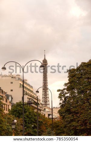 The Eiffel tower in Paris France,  AUGUST, Romantic travel background, particular view, The flowers under the tower.Wonderful Eiffel Tower and fountains of Trocadero with blue sky in Paris France 