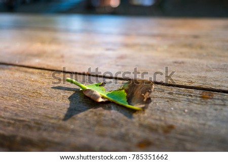 A leaf half green half dried on wooden table. Life, death, sadness, and hope concepts of picture.