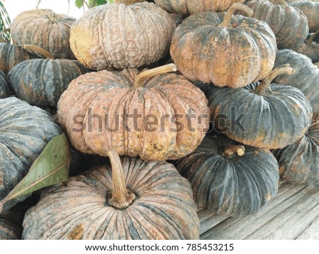 a lot of pumpkin