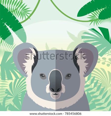 Koala on the Jungle Background