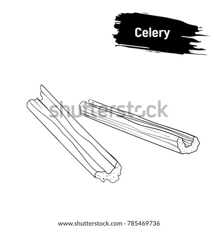 Black and white sketch, pieces of celery. Vegetarian cuisine