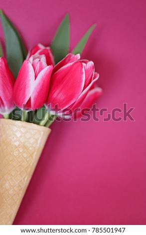 "Flower ice cream"  Pink tulips in a waffle cone on a bright pink background. copy space. spring flowers
