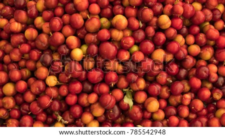 Red fruit 