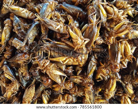 Image of crickets fried in the market for sale. Thai food at market.