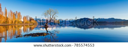 Panoramic landscape photograph of the lone tree at Lake Wanaka in the South Island of New Zealand. Blue sky and water reflection.