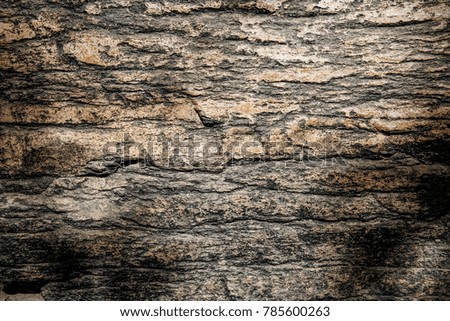 art on the sandstone cliff for background