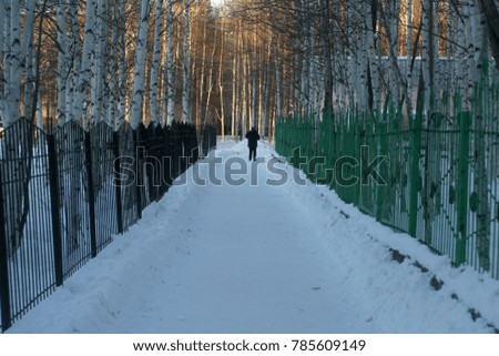 Decorative fence and white, pure snow. Winter holiday background