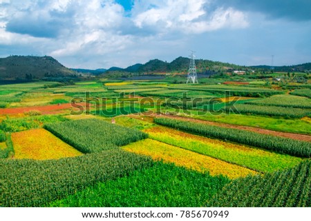 Rural Scenery of Luoping County, Qujing City, Yunnan Province