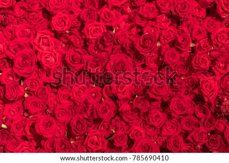 Beautiful natural red roses pattern background 