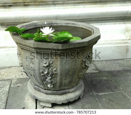 flowerpot in a temple in Bangkok Thailand