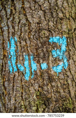 Number 43 painted on tree trunk