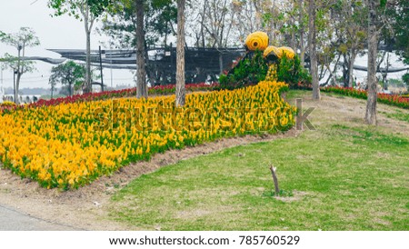 The floral in the park