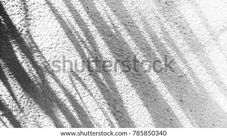 Shadow on concrete wall and concrete white texture background