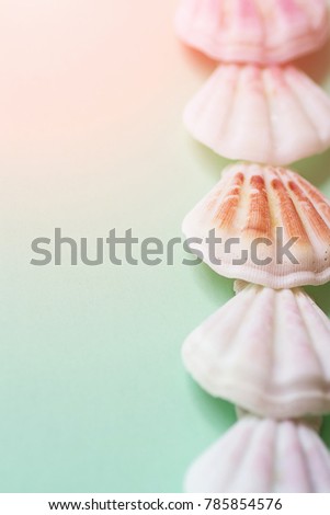 Flat White Pink Brown Sea Shells Arranged in Border Frame on Light Green Turquoise Background. Delicate Pastel Color Tones Copy space. Template for Card Poster. Balance Harmony Concept