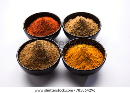 Indian colourful group of spices  like raw red chilli, turmeric, coriander and cumin powder. selective focus
