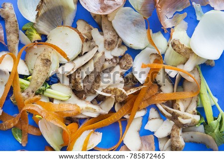 Vegetable peels are shown on a blue background